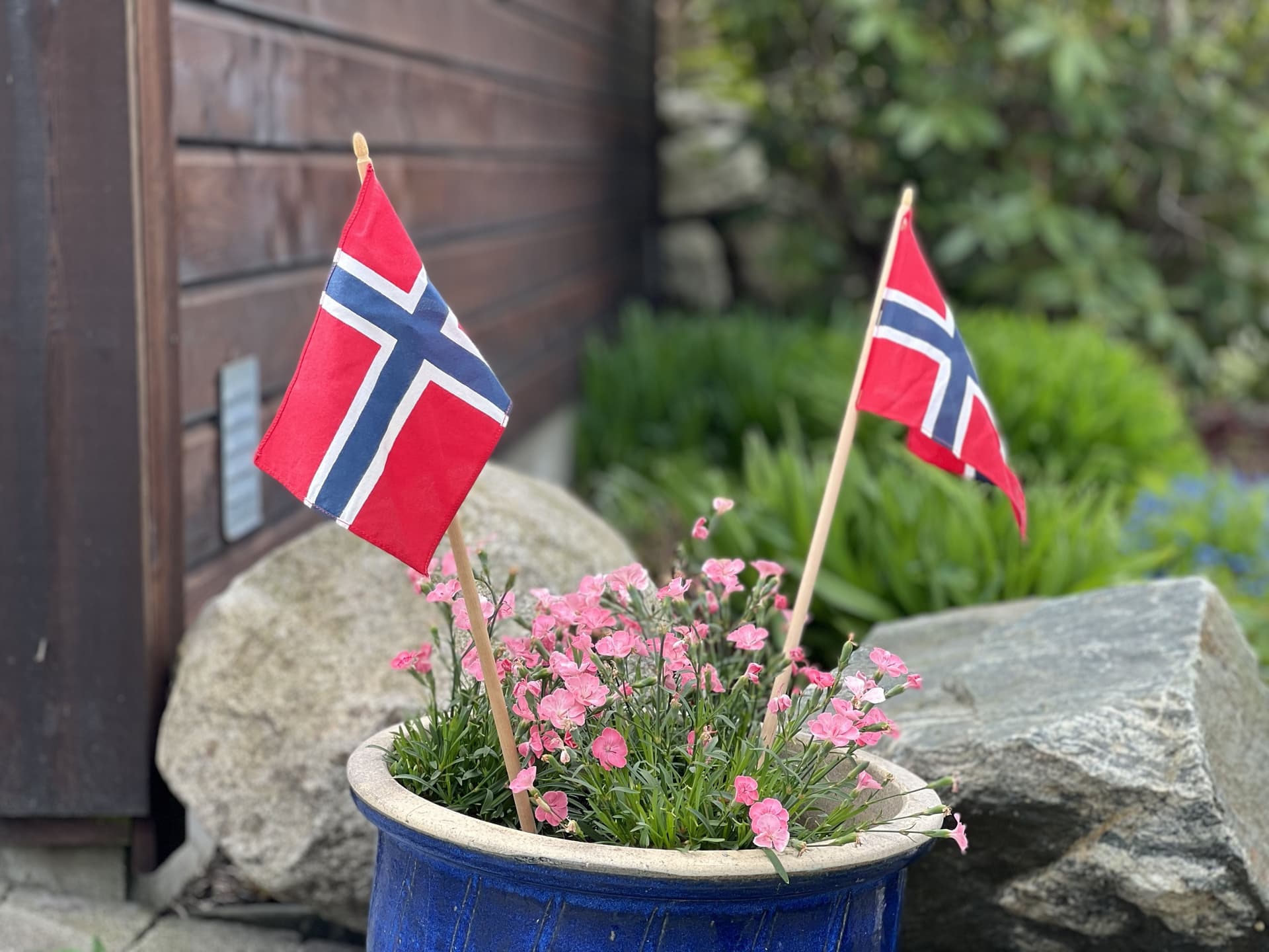 Norske flagg og blomster