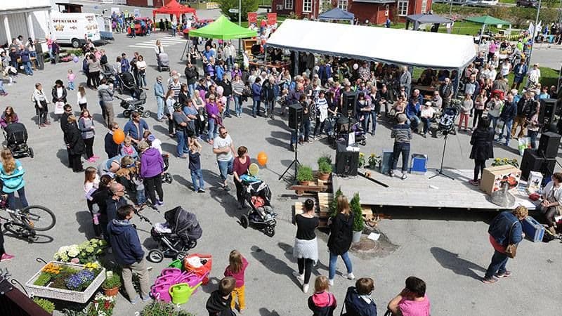 Folkemengde på Steia