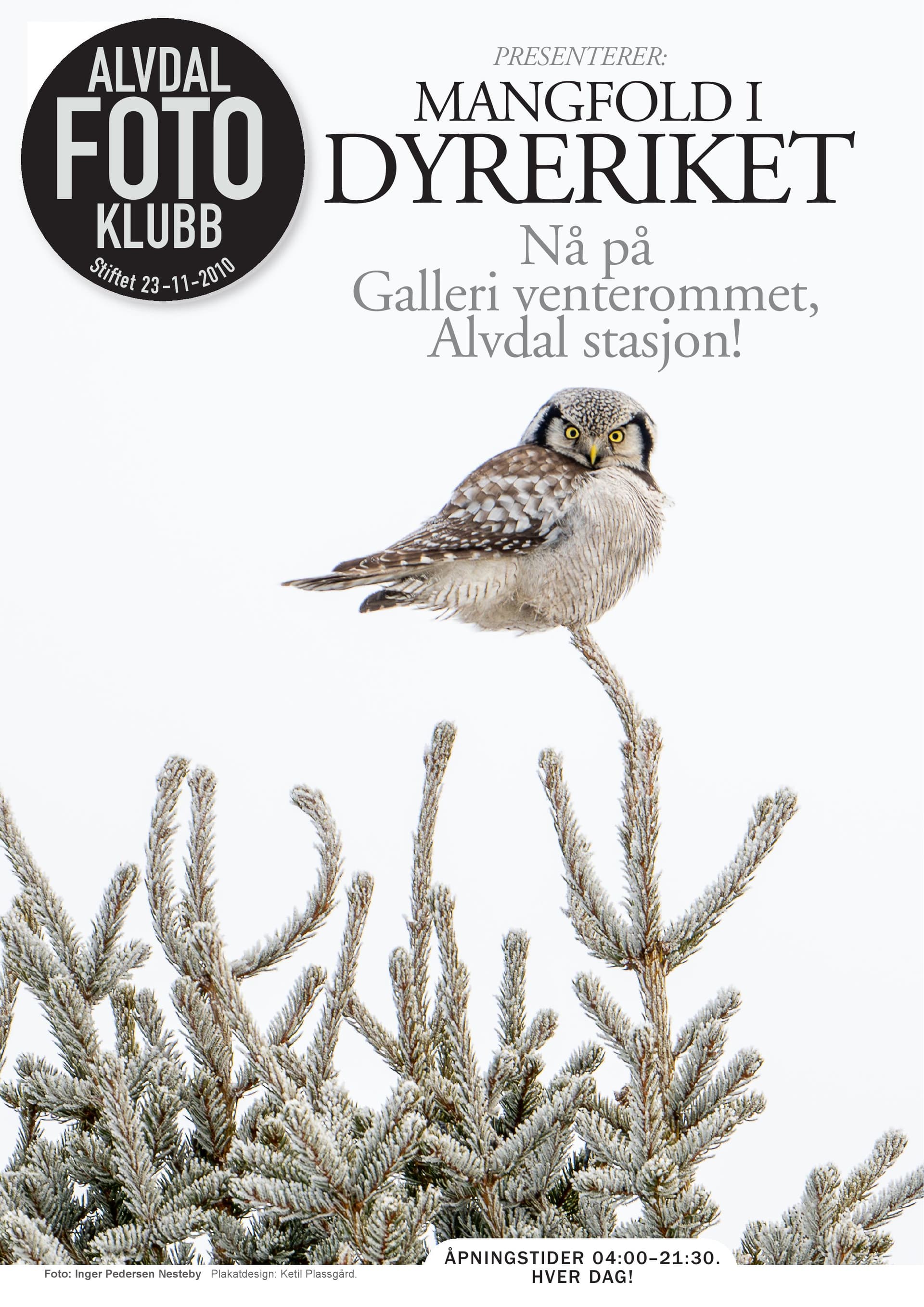 utstilling, dyreliv, Alvdal fotoklubb